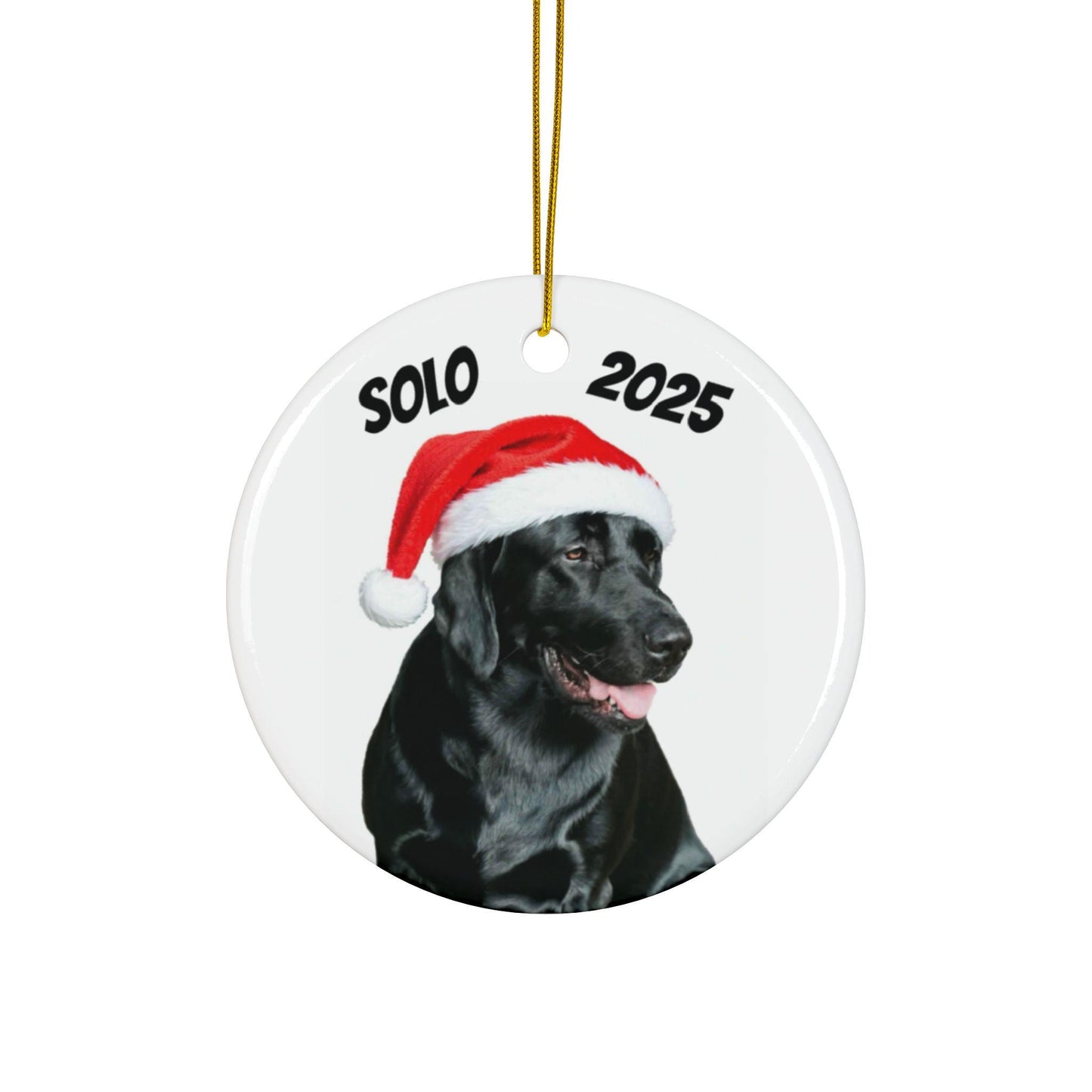 Personalized Pet Photo Ornament, Santa Hat, Custom Dog Christmas Ornament