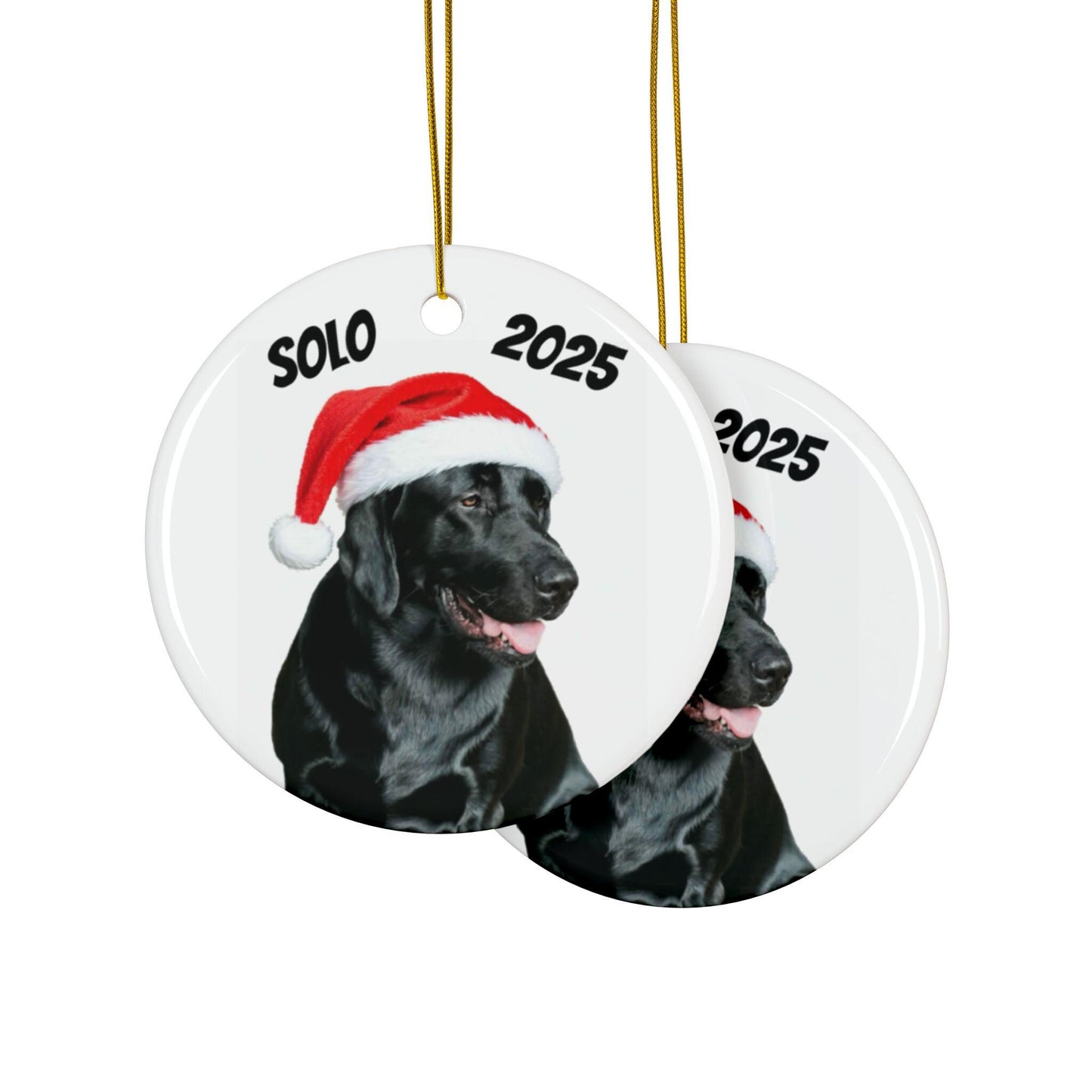 Personalized Pet Photo Ornament, Santa Hat, Custom Dog Christmas Ornament