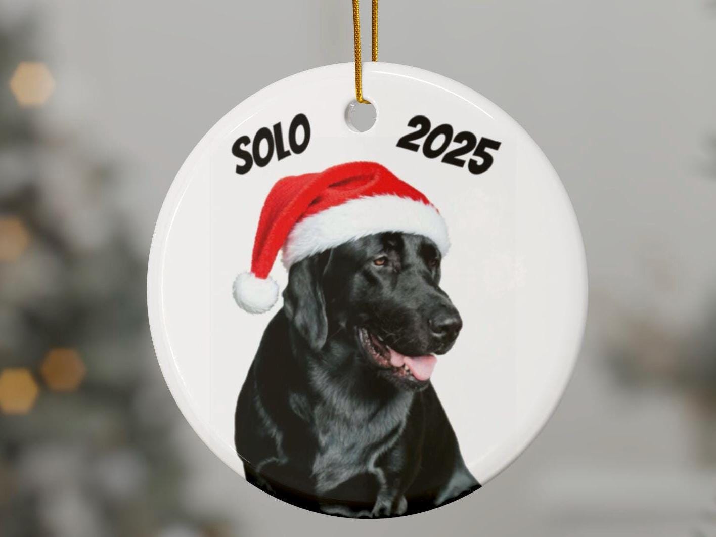 Personalized Pet Photo Ornament, Santa Hat, Custom Dog Christmas Ornament