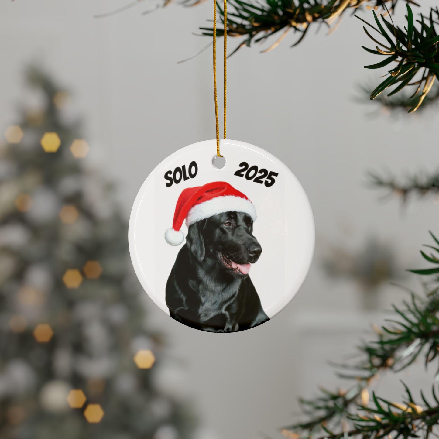 Personalized Pet Photo Ornament, Santa Hat, Custom Dog Christmas Ornament